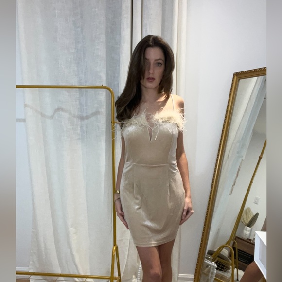 Super down Erika Feather Trim Mini Dress in champagne - Picture 3 of 4